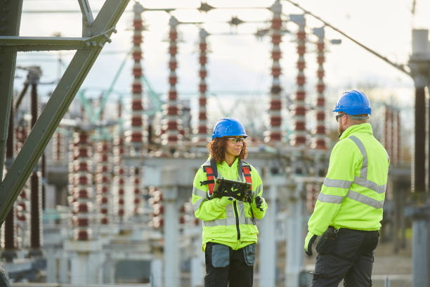Best Electrical Upgrades for Homes  in Iona, FL