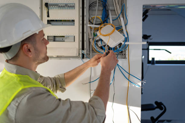 Best Electric Panel Repair  in Iona, FL